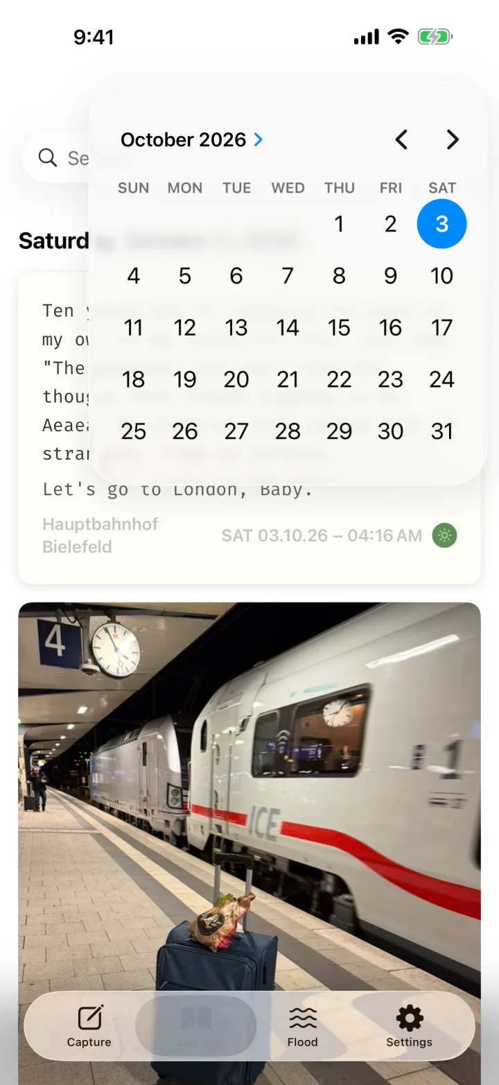 The month calendar above the journal with one day highlighted.
